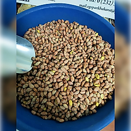 TUZLU FISTIK JUMBO BOY