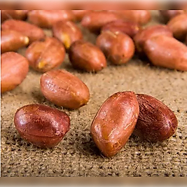 TUZSUZ İÇ FISTIK JUMBO