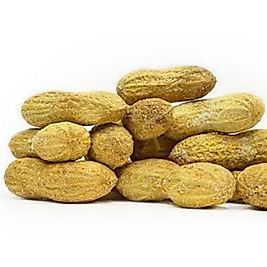 FISTIK (Kabuklu-Çig/Kavrulmuş Tuzsuz/Tuzlu)