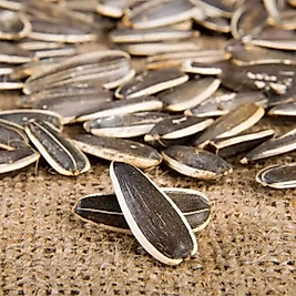 ÇEKİRDEK (Siyah Tuzsuz,Kavrulmuş,İri Boy)